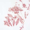 FLEURS DE JOUY - Taies d'Oreiller en Percale de Coton Égyptien