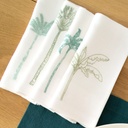 PALMIERS DE DAGMAR - 8 Serviettes de Table en Lin