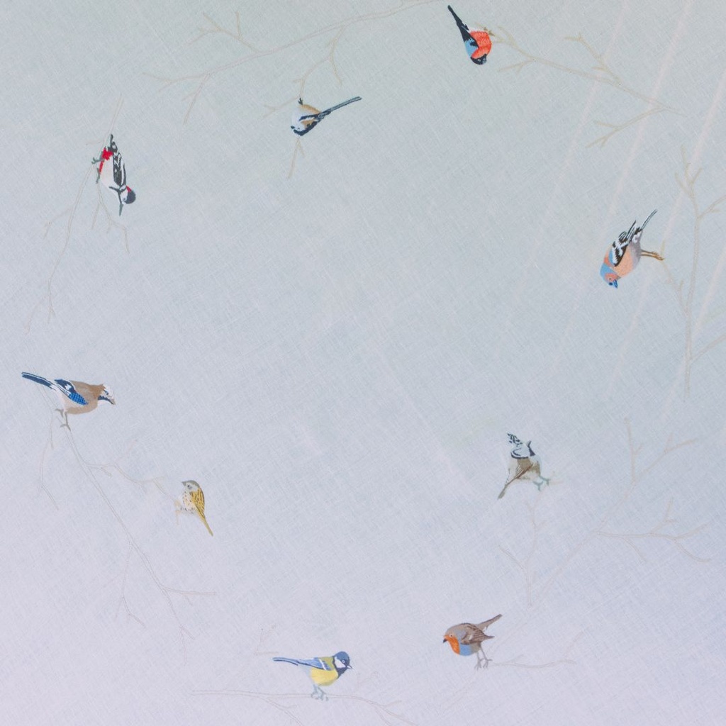 GRASSES - 6 Cocktail Napkins